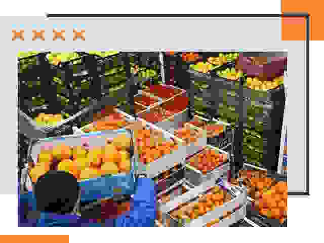Перевозка скоропортящихся продуктов в грозном